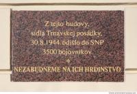 Photo Texture of Memorial Plaque 0001